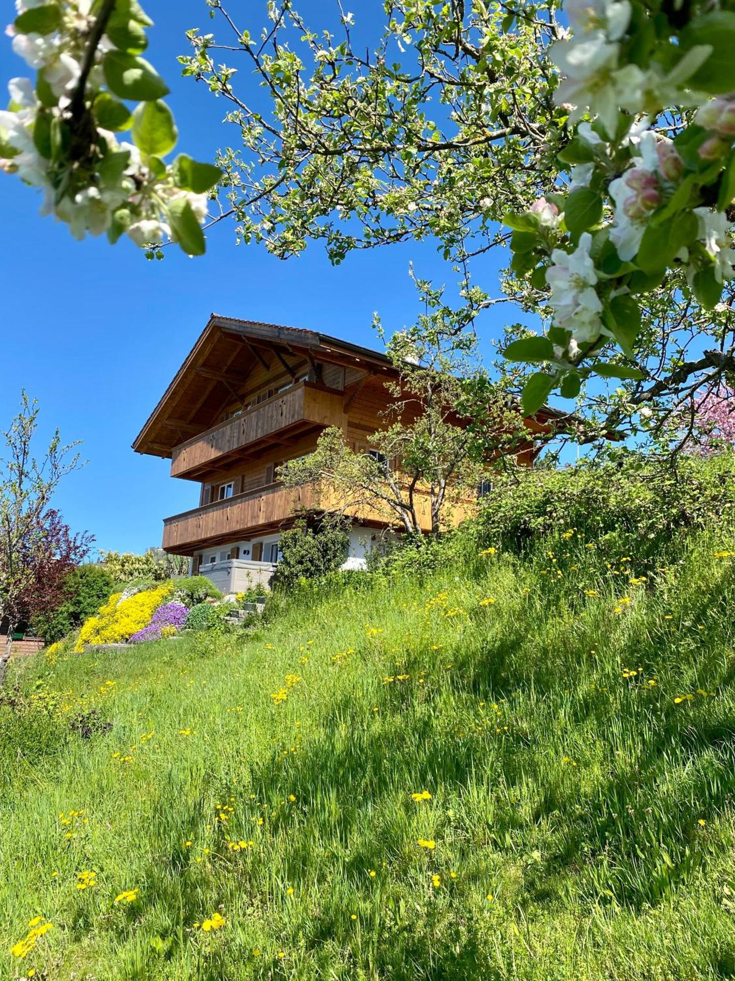 Chalet Egglen "Typical Swiss House, Best Views, Private Jacuzzi" Sigriswil Ngoại thất bức ảnh