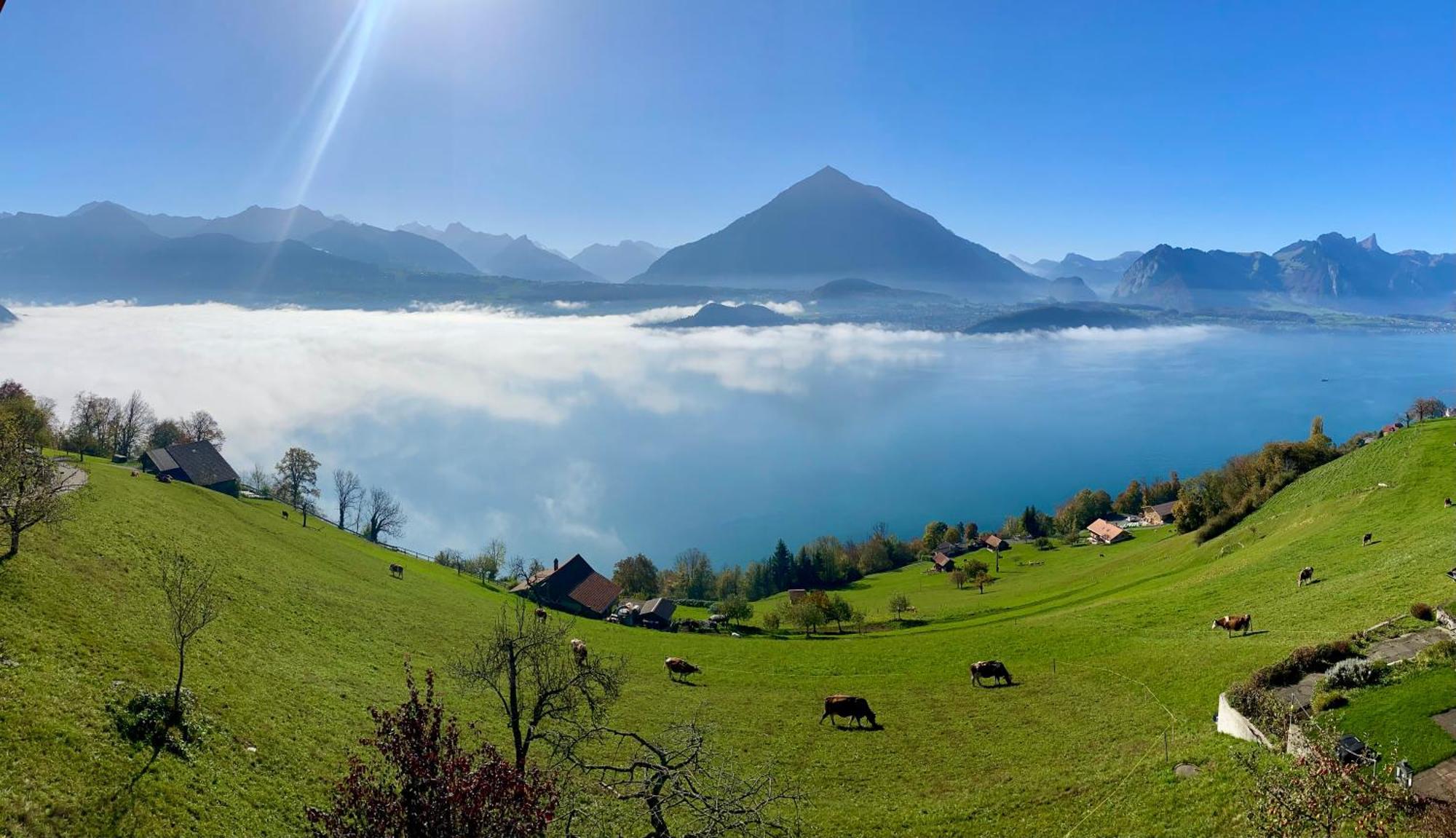 Chalet Egglen "Typical Swiss House, Best Views, Private Jacuzzi" Sigriswil Ngoại thất bức ảnh