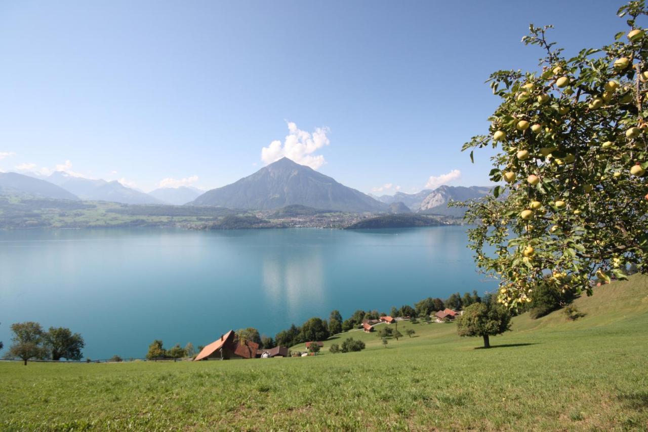 Chalet Egglen "Typical Swiss House, Best Views, Private Jacuzzi" Sigriswil Ngoại thất bức ảnh