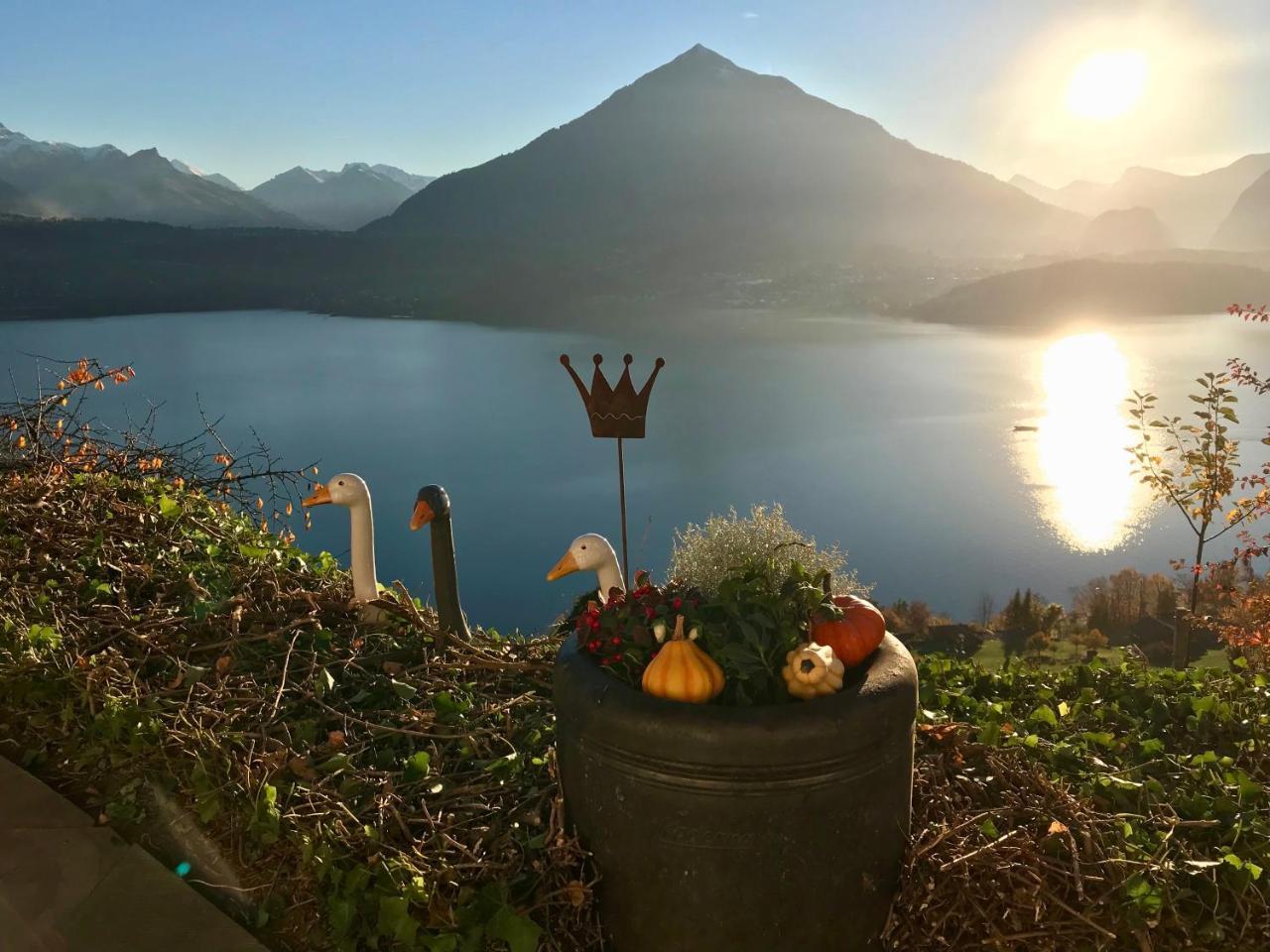 Chalet Egglen "Typical Swiss House, Best Views, Private Jacuzzi" Sigriswil Ngoại thất bức ảnh