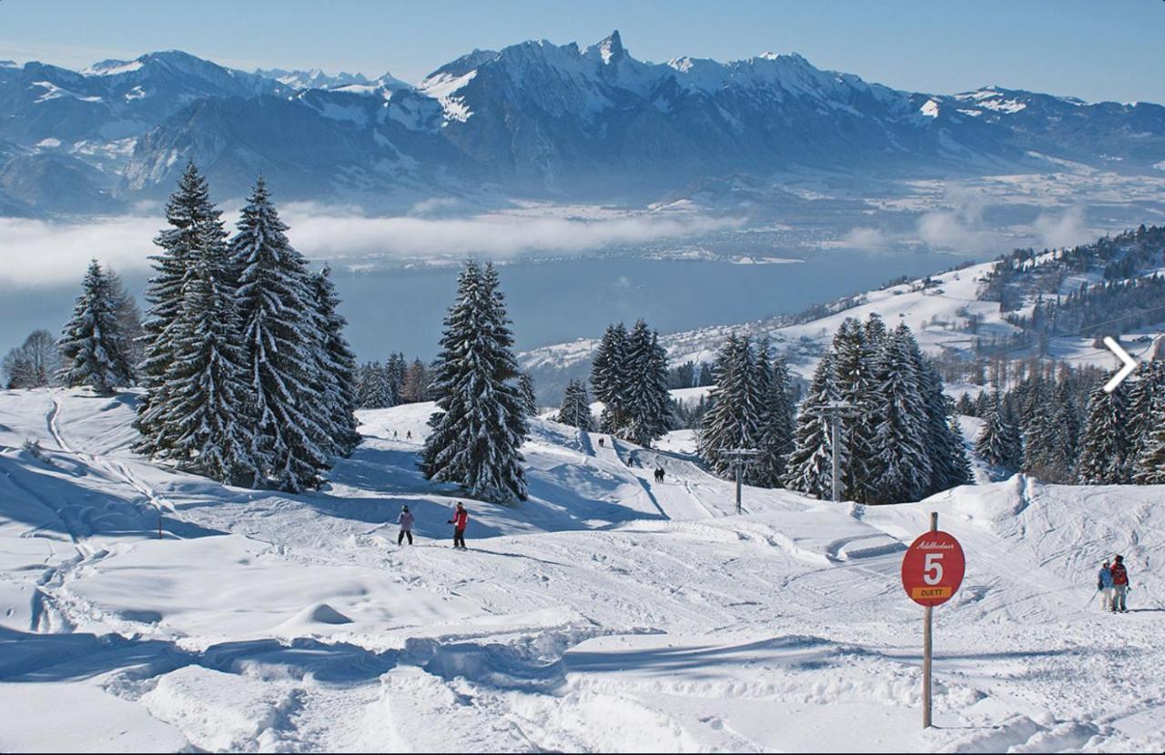 Chalet Egglen "Typical Swiss House, Best Views, Private Jacuzzi" Sigriswil Ngoại thất bức ảnh