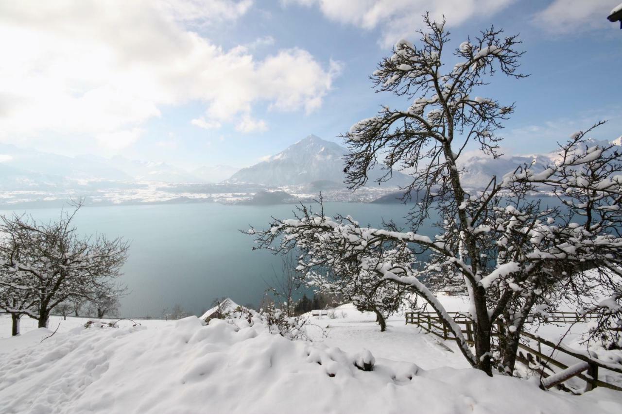 Chalet Egglen "Typical Swiss House, Best Views, Private Jacuzzi" Sigriswil Ngoại thất bức ảnh